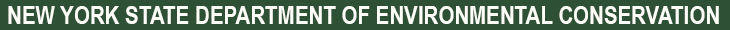 New York State Department of Environmental Conservation Banner